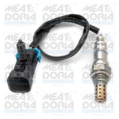 Oxygen Sensor